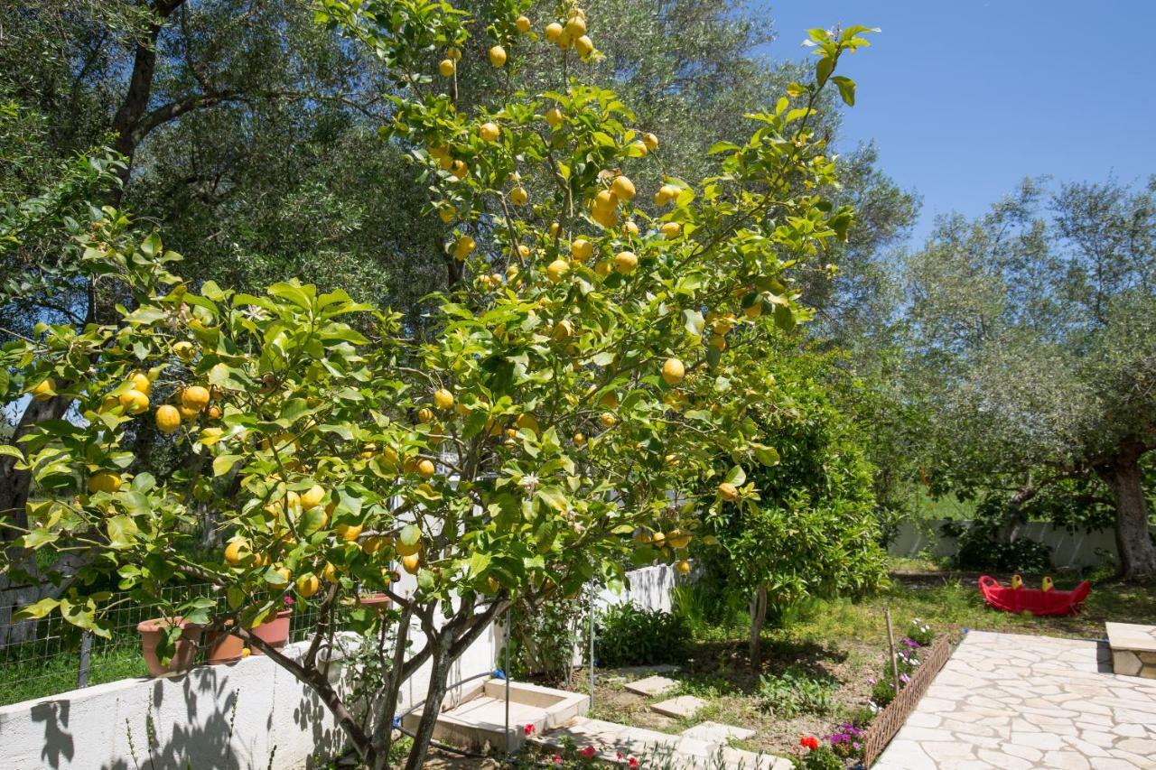 Karia Holiday Home Lefkímmi Buitenkant foto