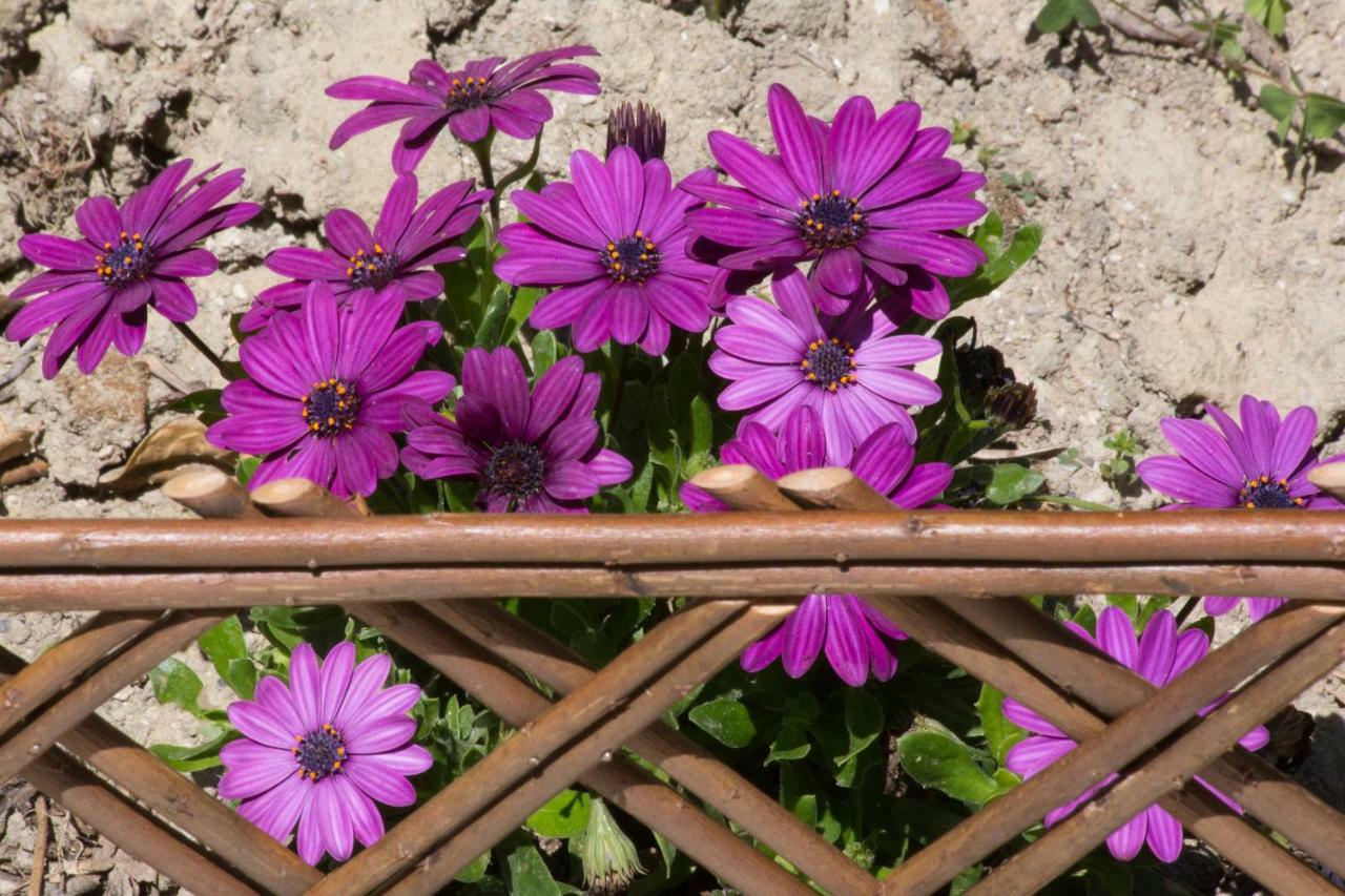Karia Holiday Home Lefkímmi Buitenkant foto